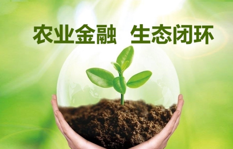 信和大金融 結(jié)合三位一體政策，擘畫(huà)農(nóng)業(yè)四步戰(zhàn)略新藍(lán)圖——青海新聞網(wǎng)金融產(chǎn)業(yè)速遞