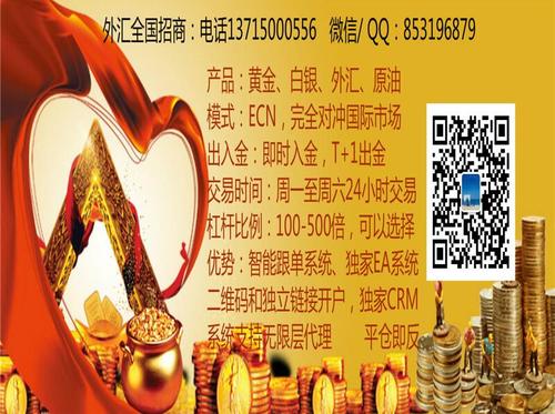優匯金融服務 天津探蝌的定制化金融解決方案